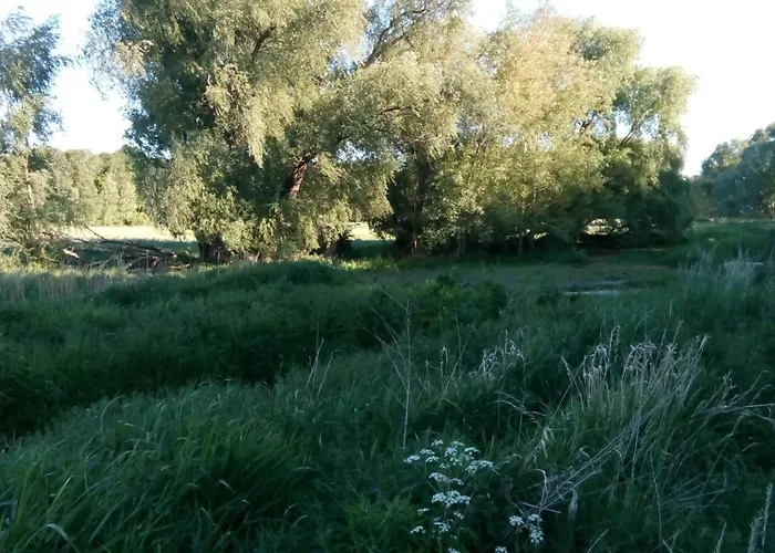 Samoa Διαμέρισμα *